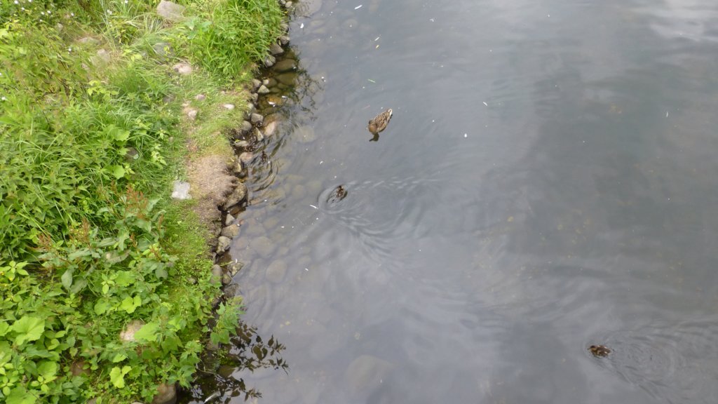 photo31.jpg