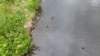 photo31_small.jpg