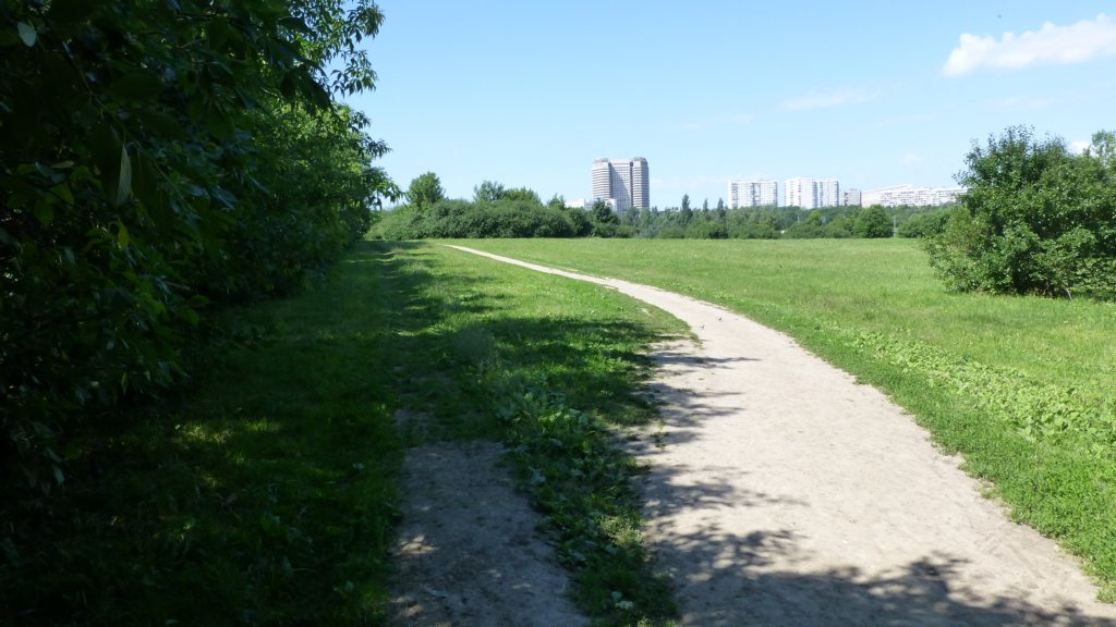 photo98.jpg