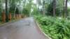 photo10_small.jpg