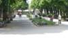 photo5_small.jpg