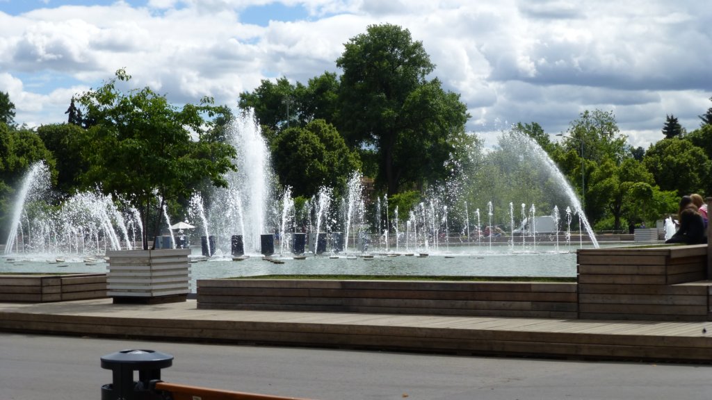 photo8.jpg