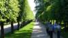 photo48_small.jpg
