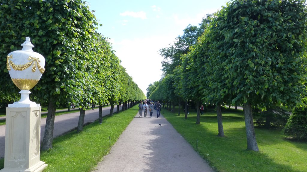 photo55.jpg