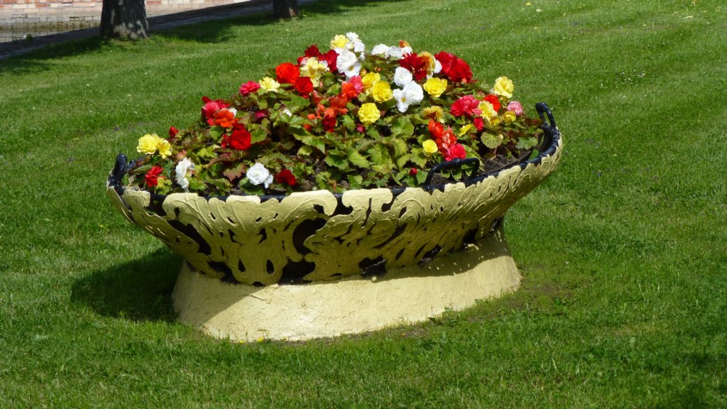 photo76.jpg
