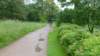 photo51_small.jpg