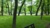 photo184_small.jpg