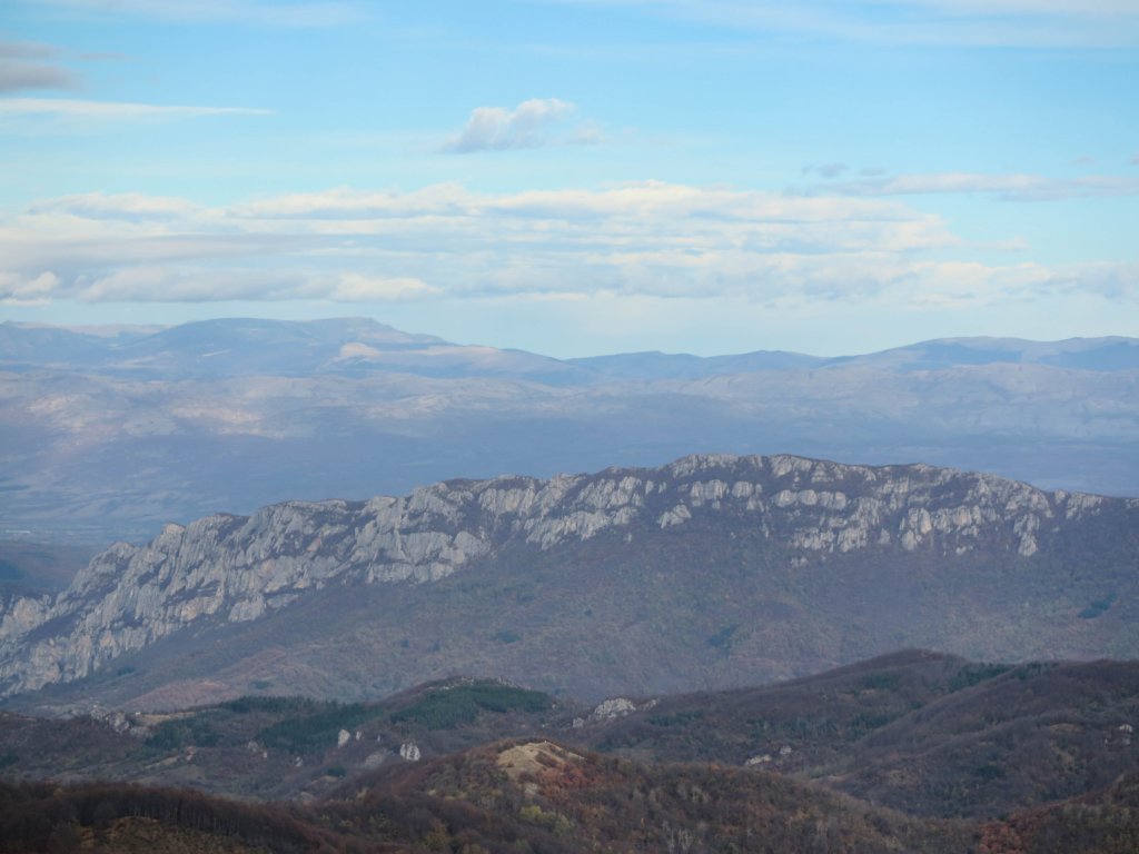photo11.jpg
