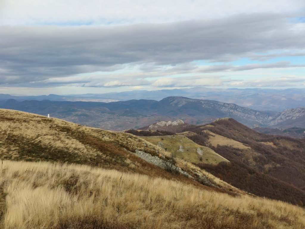 photo21.jpg