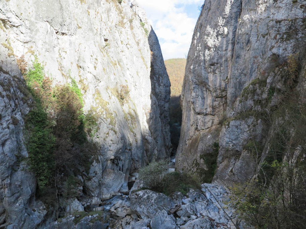 photo28.jpg