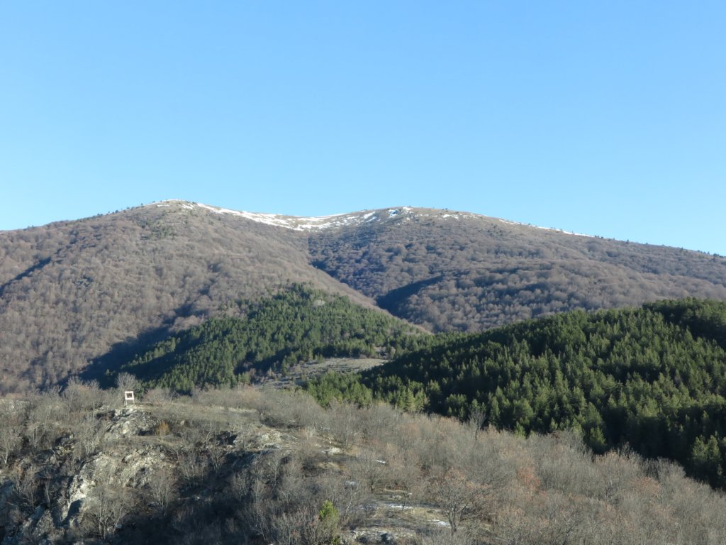 photo7.jpg