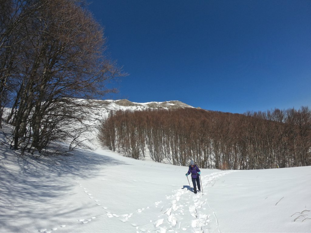 photo17.jpg
