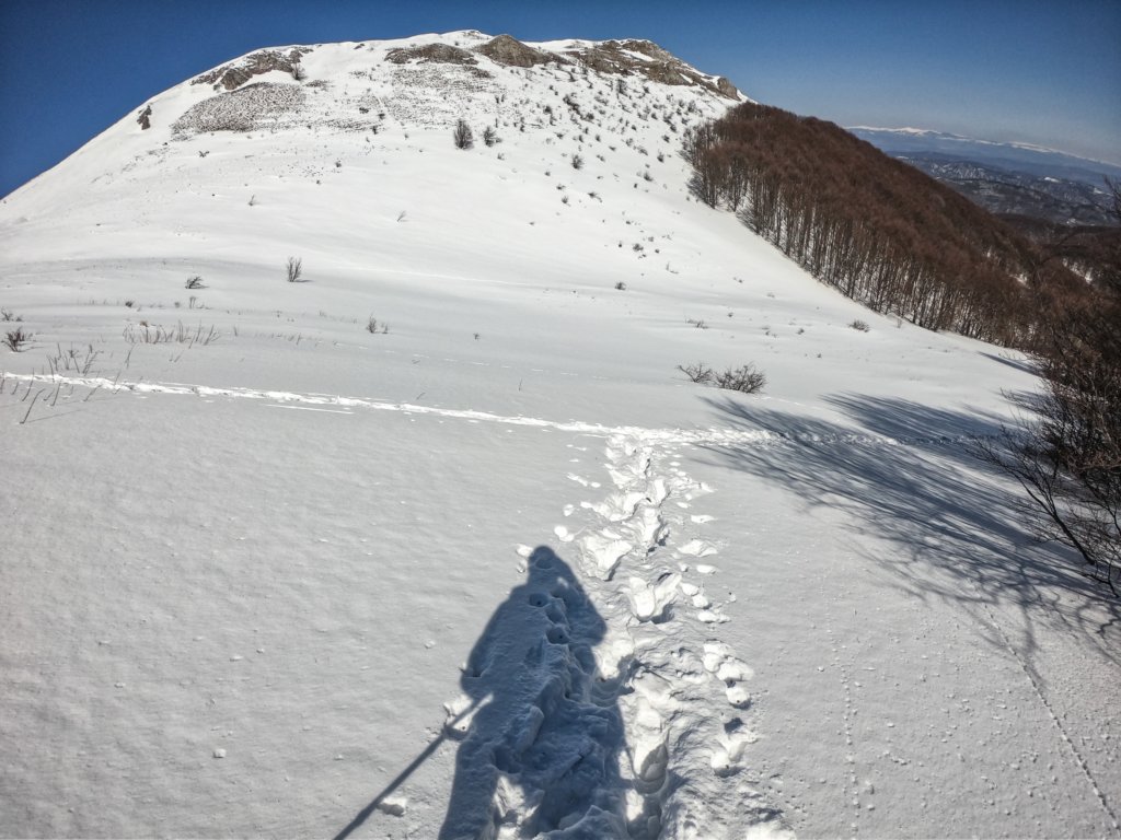 photo44.jpg