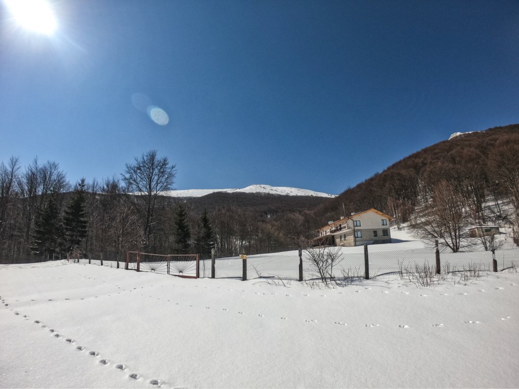 photo9.jpg