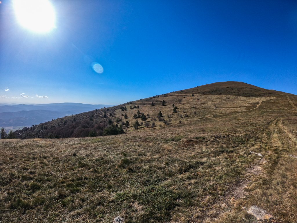 photo10.jpg