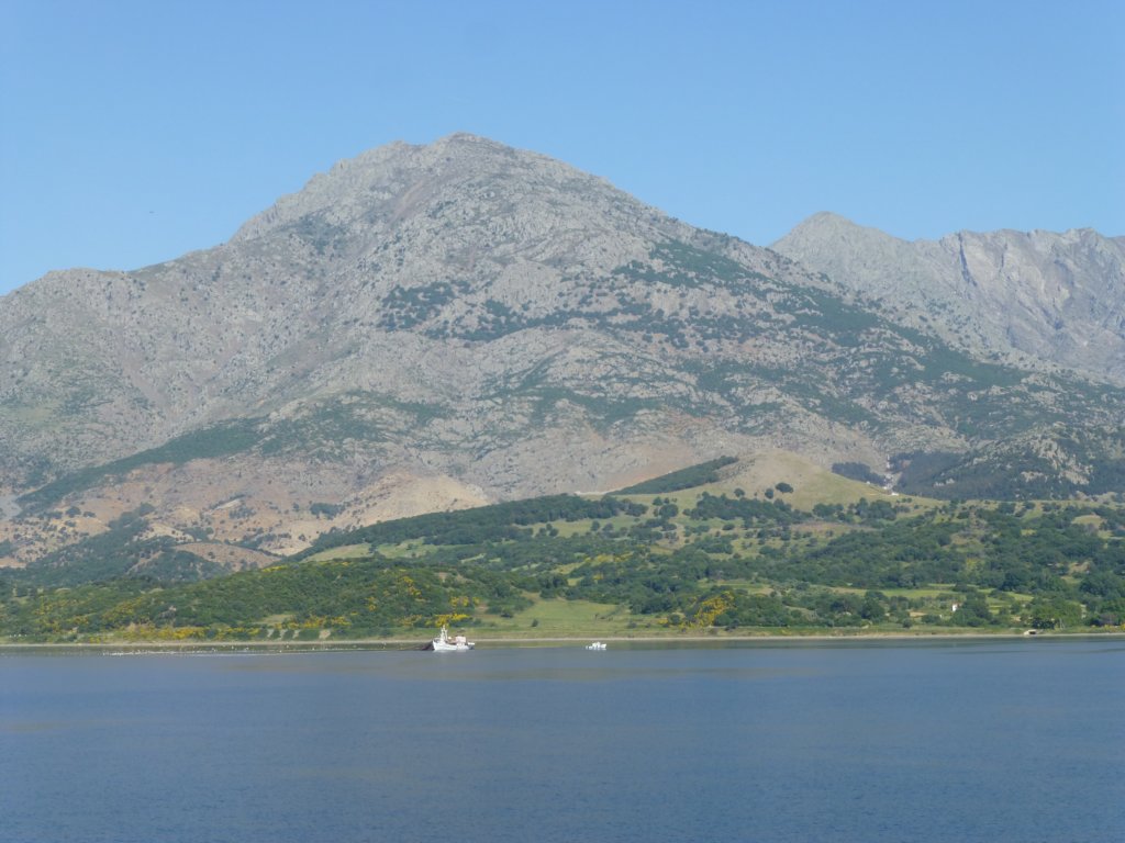 photo22.jpg