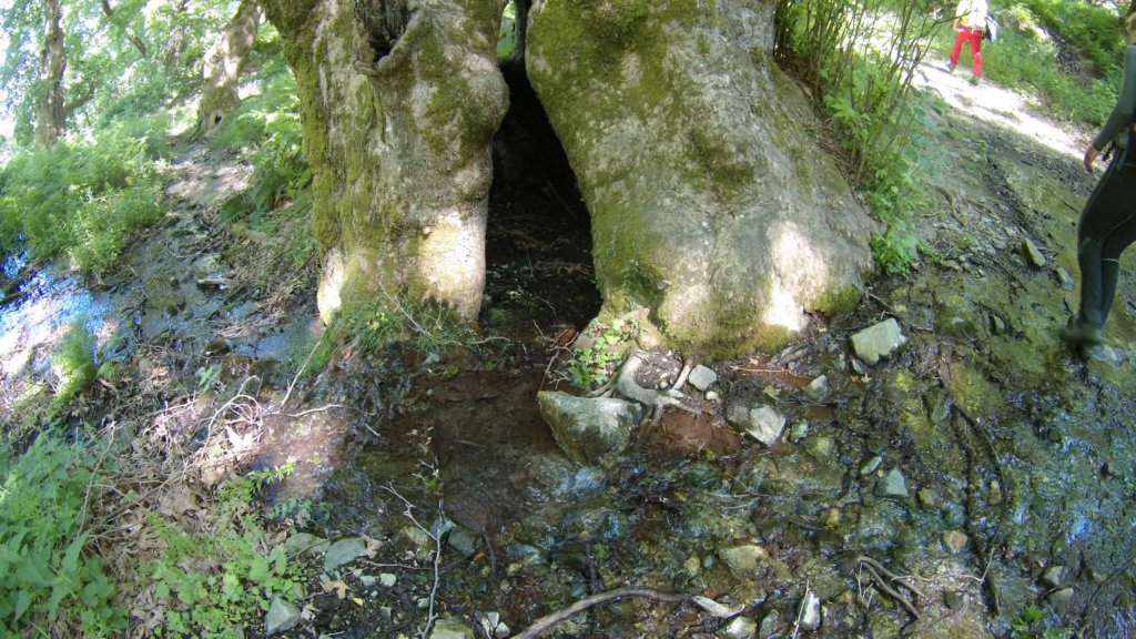photo229.jpg