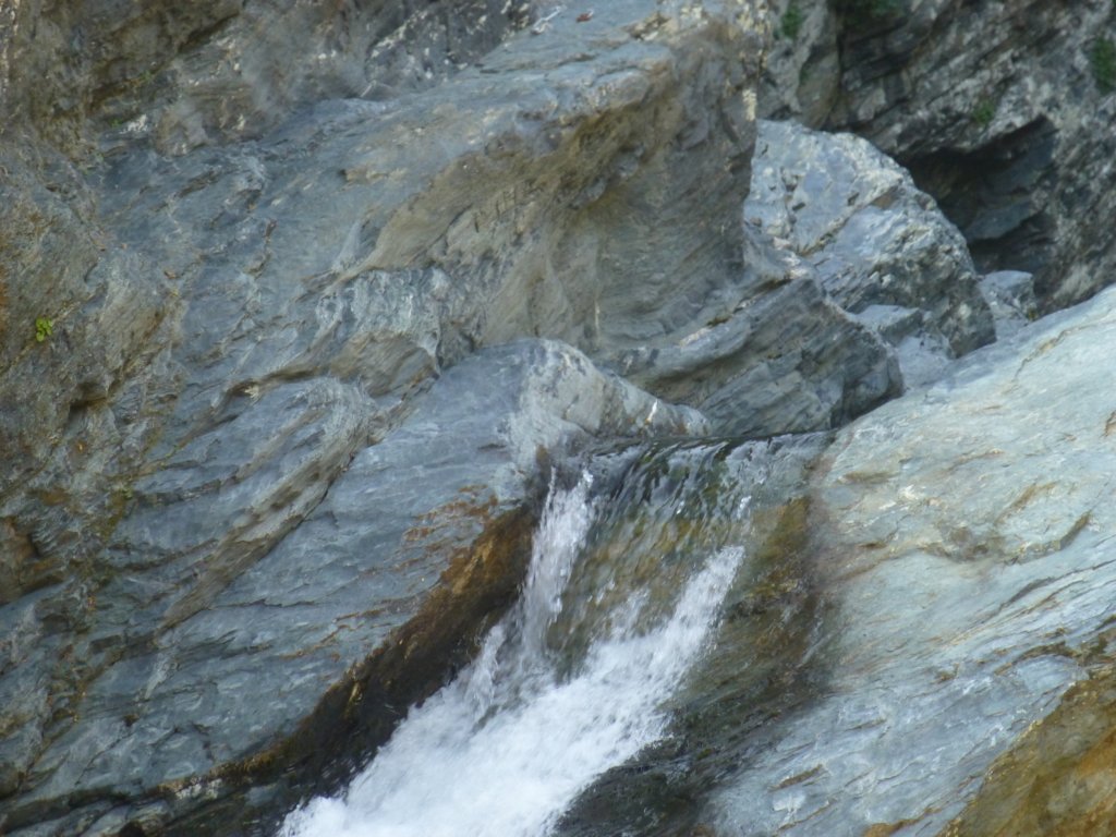 photo255.jpg