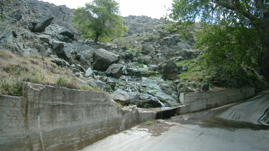 photo83.jpg