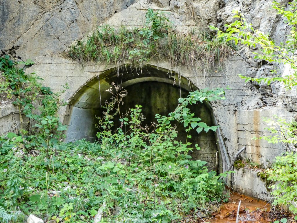 photo49.jpg