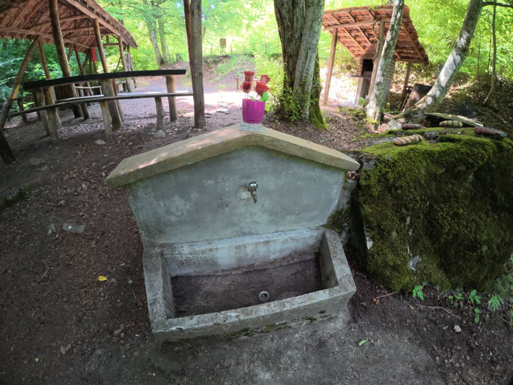 photo16.jpg