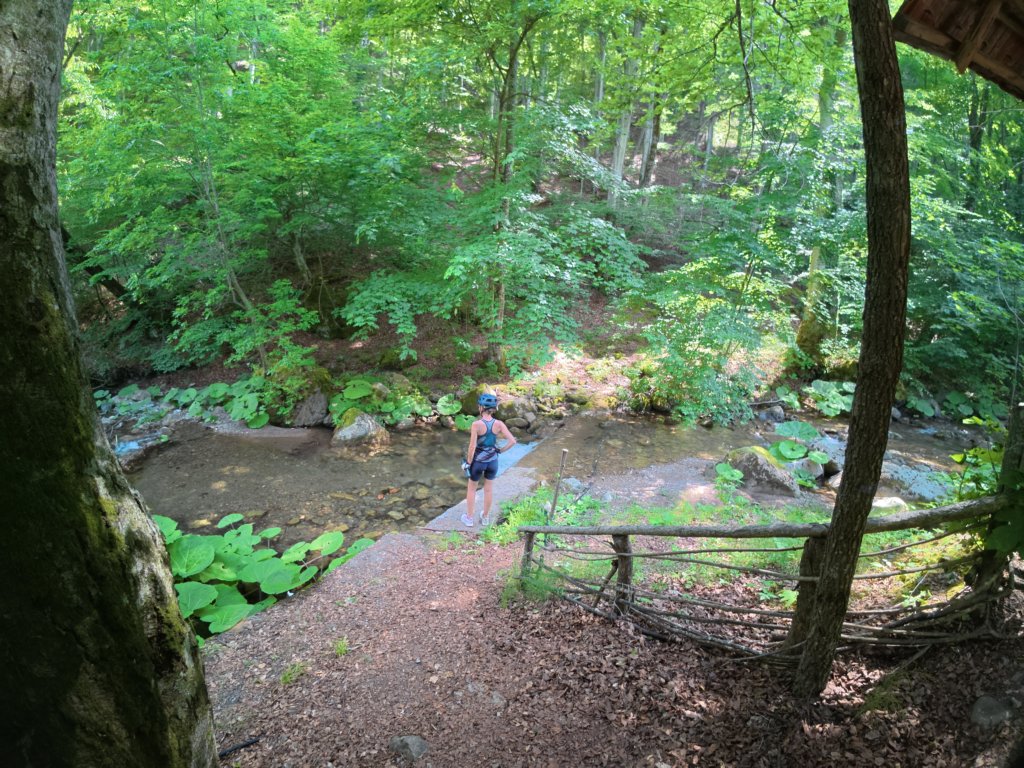 photo17.jpg