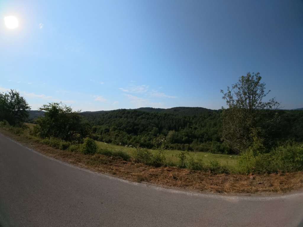 photo3.jpg