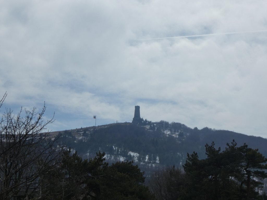 photo31.jpg
