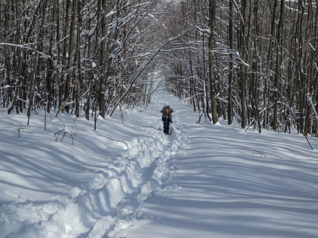 photo10.jpg