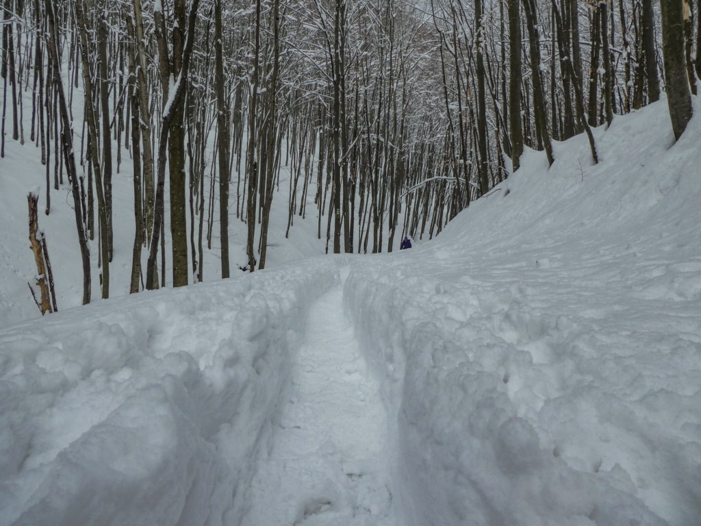 photo5.jpg