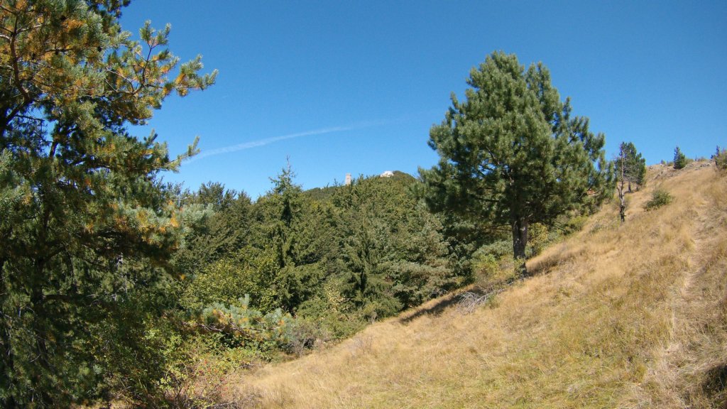 photo18.jpg