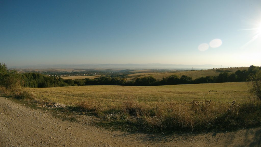 photo11.jpg