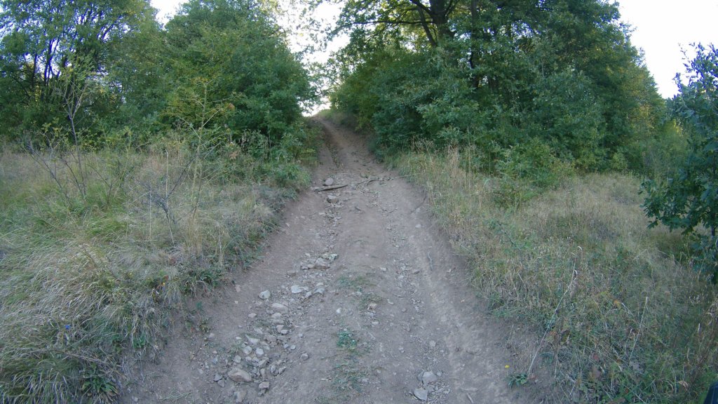 photo12.jpg