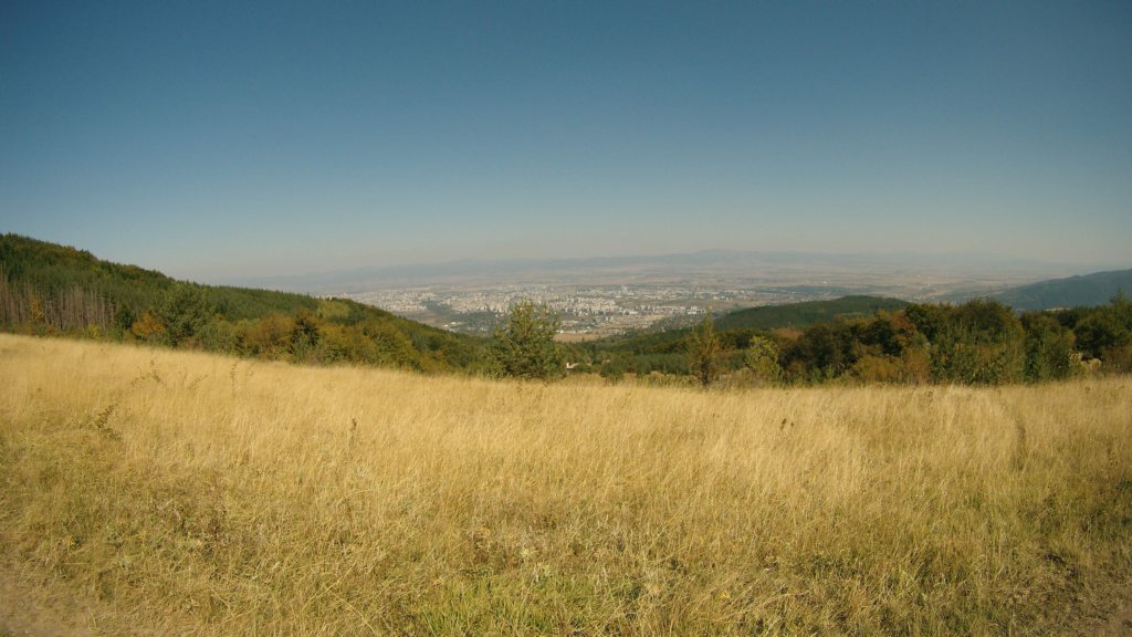 photo31.jpg