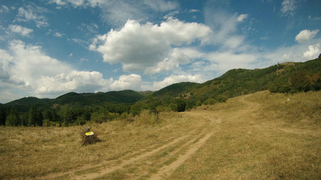 photo90.jpg