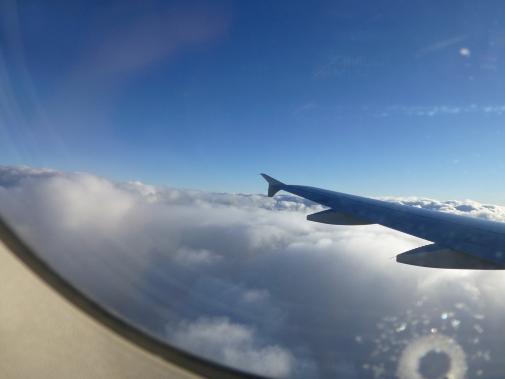 p1020081.jpg
