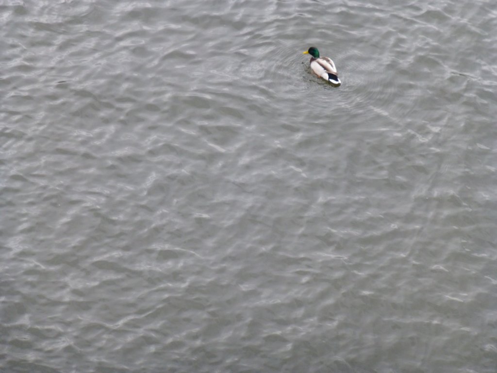 p1020162.jpg