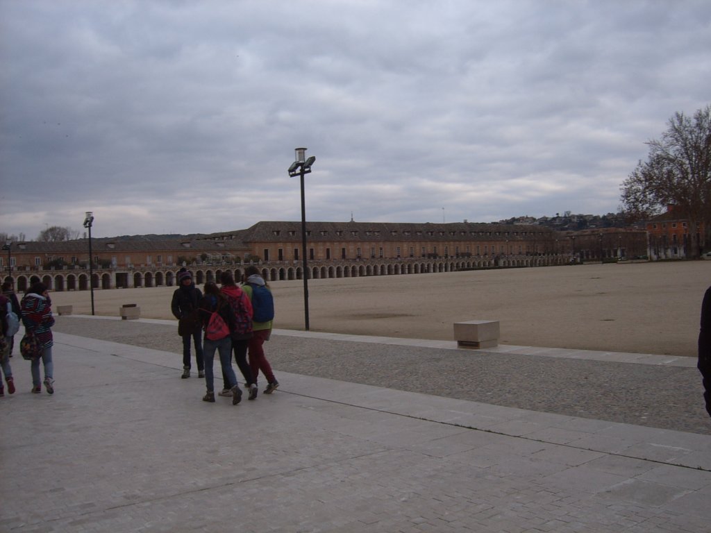 suc54138.jpg