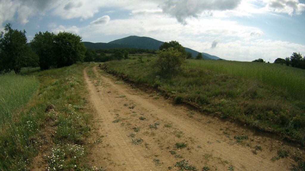 photo29.jpg