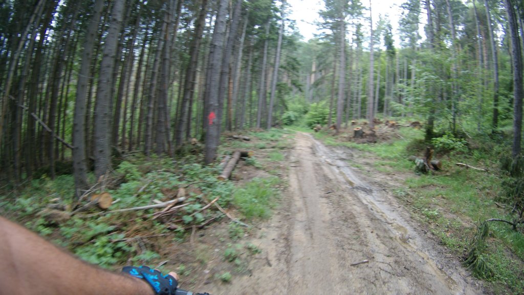 photo55.jpg