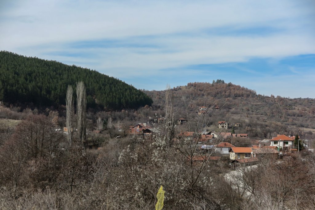 photo21.jpg