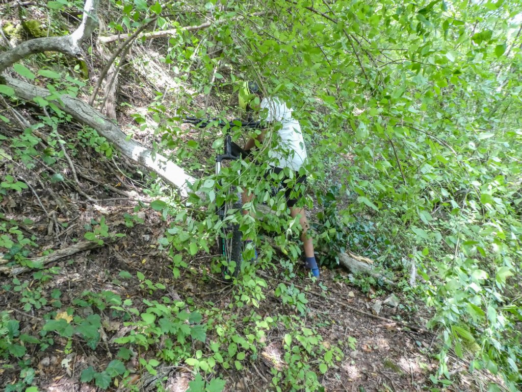 photo17.jpg