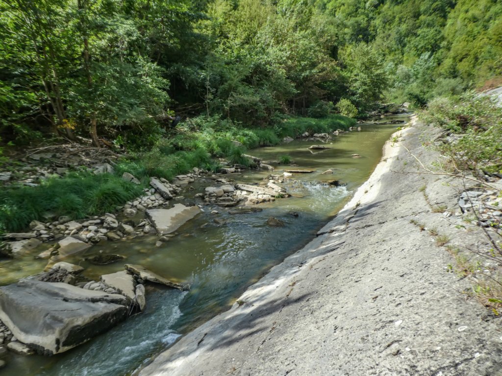 photo26.jpg