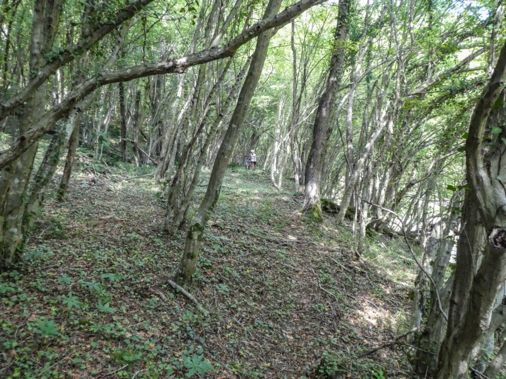 photo45.jpg