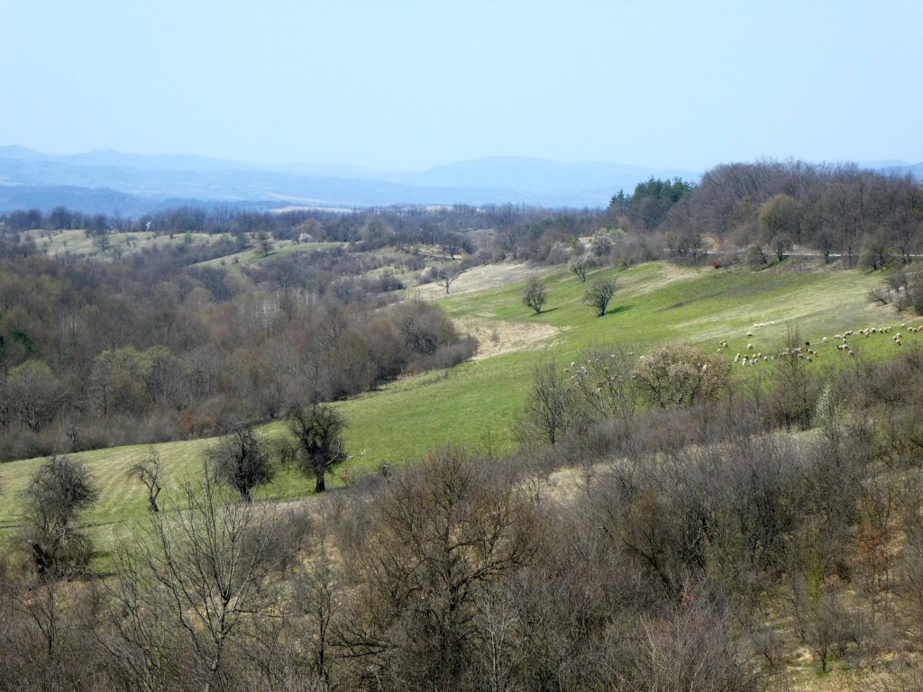 photo17.jpg
