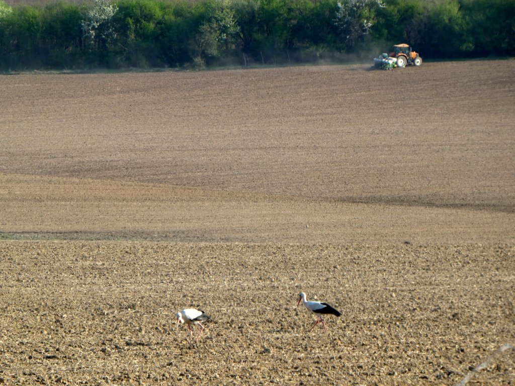 photo56.jpg