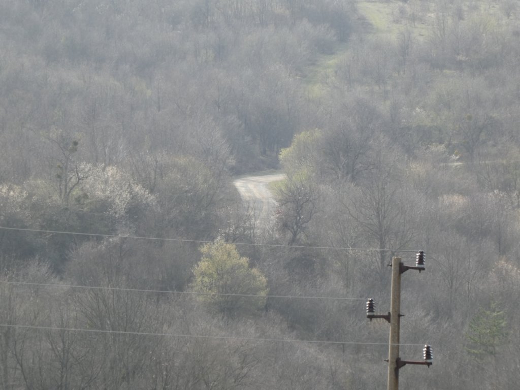 photo18.jpg