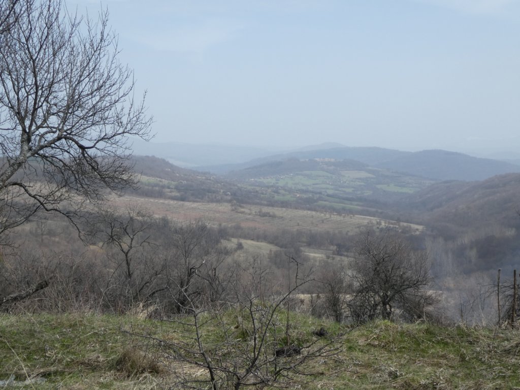 photo3.jpg