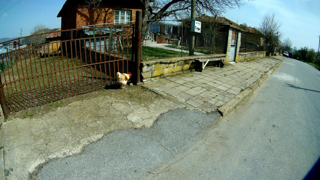 photo35.jpg