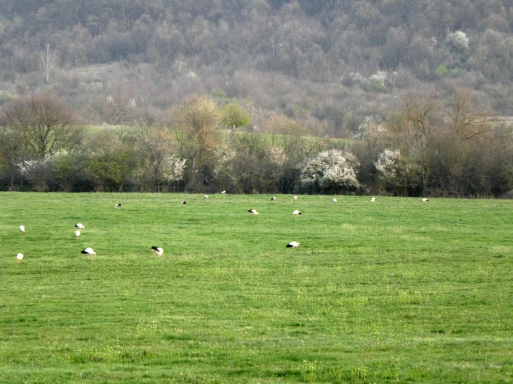 photo39.jpg
